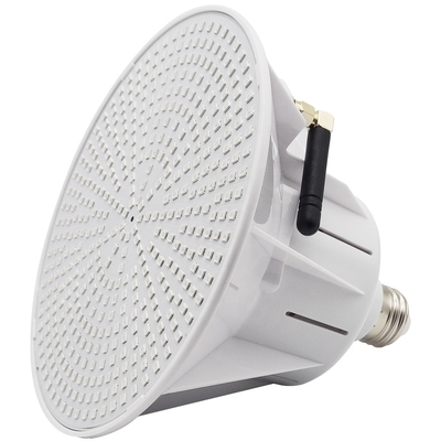 Pencahayaan Kolam LED AC/DC 12V/24V IP68
